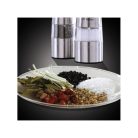 Russell Hobbs 23460-56 Classic só-,borsörlő