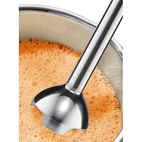 Bosch_MSM24100_botmixer-i732402