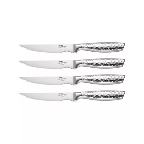 Bergner_ORIGEN_SSG-4146_steak_kes_garnitura_4_reszes-i186092