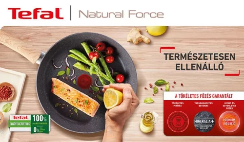 Tefal G2663872 Natural Force palacsintasütő