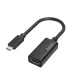 Hama 205160 Fic USB Type-C HDMI adapter ultra HD (4K)