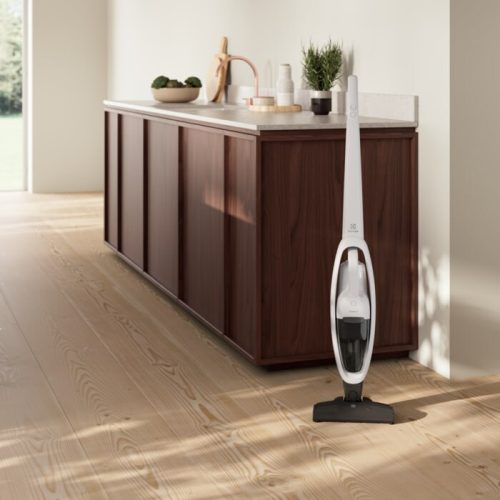 Electrolux_ES31CB18SH_vezetek_nelkuli_allo_porszivo-i753013