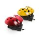 Garden_of_Eden_11763_szolar_katicabogar_lampa-i788169