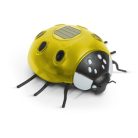 Garden_of_Eden_11764C_szolar_lampa_katicabogar-i788198