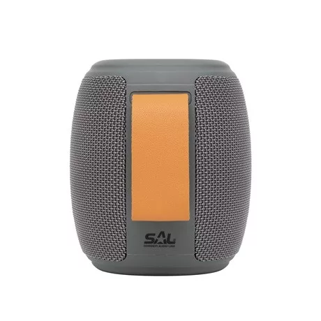 SAL_BT_1000_bluetooth_hangszoro-i804394