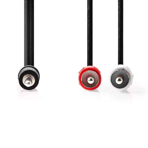 Nedis CAGL22200BK100 sztereó Jack/RCA audiokábel, 10 méter