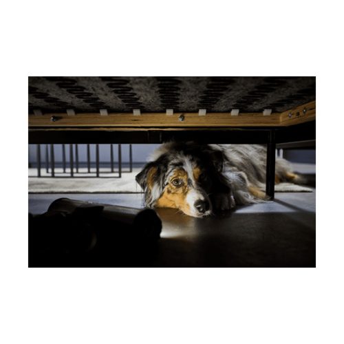 Rowenta RH9A32WO álló porszívó