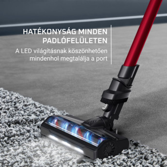 Rowenta RH6A73WO X-PERT 7.60 Animal Model rúdporszívó