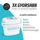 Laica PJ0601 Liscia 2.5L kancsó - 1 hónapra elegendő szűrőbetéttel