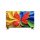 TCL 32S4K HD Android Smart QLED TV