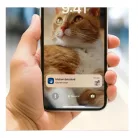 Philips PAW5320/02  5000 Series intelligens etető