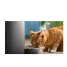 Philips PAW5320/02  5000 Series intelligens etető