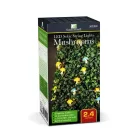 Garden of Eden 58220C szolár led fényfüzér, gomba, 2,4 m