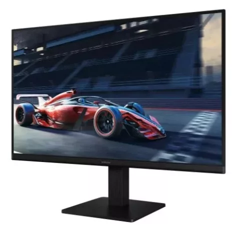 Samsung LS24D302GAUXEN monitor